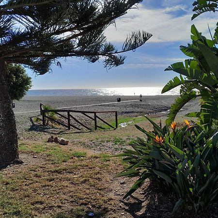 Benajarafe villa near beach Bagian luar foto